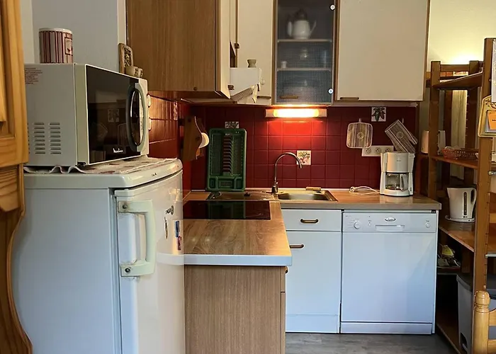 T2 Bis - 50 M Télécabine, Parking Gratuit - Fr-1-234-300 Appartement